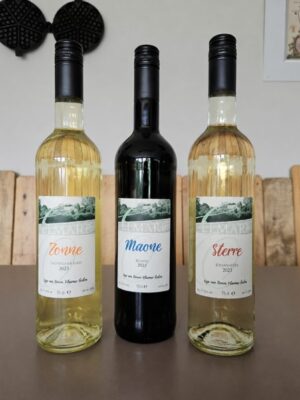 Hemels drieluik : Zonne, Maone en Sterre