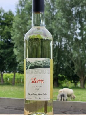Sterre 2023