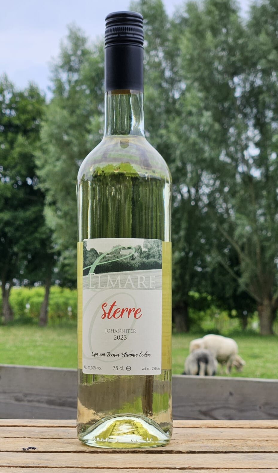 Sterre 2023 : BRONS medaille !