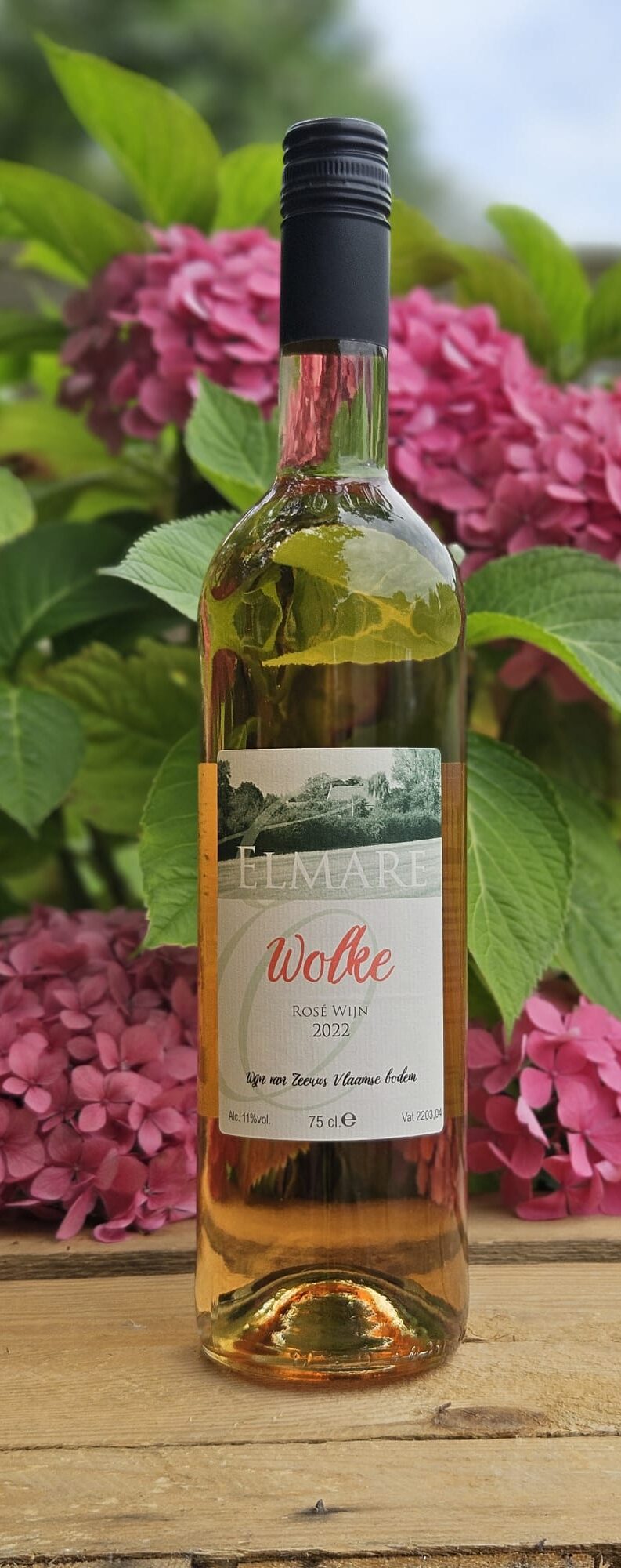 Wolke : Rosé 'bronzen prijs bij Keuring 2024'