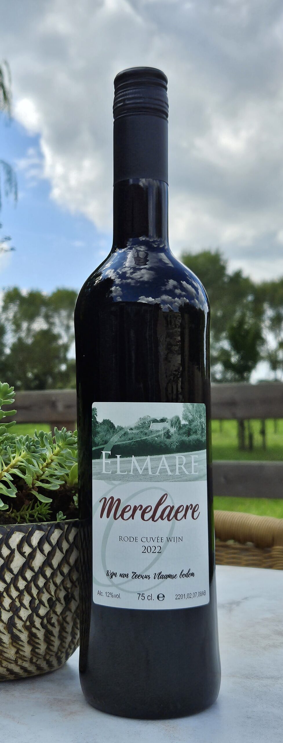 Pakket #5b: Zeeuwse Rode wijn in cadeaudoos of tas